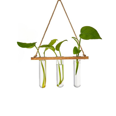 ecofynd 1-Tier Wall Hanging Test Tube Planter