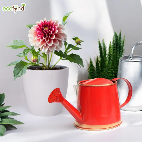 Red Watering Can for Kids 250 ml