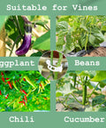 ecofynd Plant Support Garden Clips