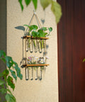 ecofynd 2-Tier Wall Hanging Test Tube Planter