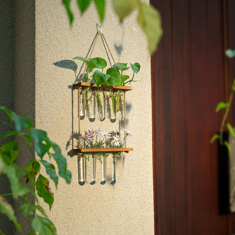 2-Tier Wall Hanging Test Tube Planter