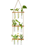 ecofynd 3-Tier Wall Hanging Test Tube Planter