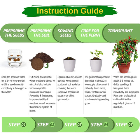 DIY Grow Kit for Chili Pepper Plant