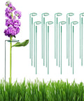 ecofynd Ecofynd Metal Plant Stakes