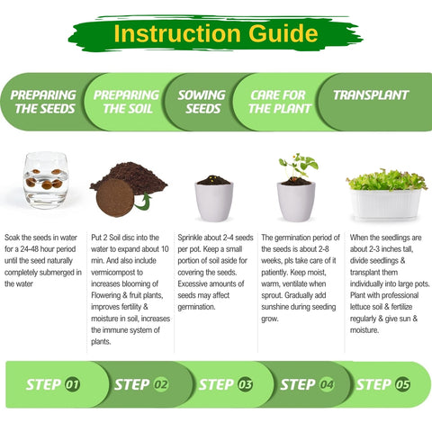 DIY Grow Kit for Lettuce