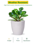 ecofynd Ceramic Plant Pot