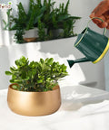 ecofynd Green Watering Can for Kids 250 ml