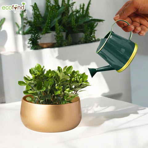 Green Watering Can for Kids 250 ml