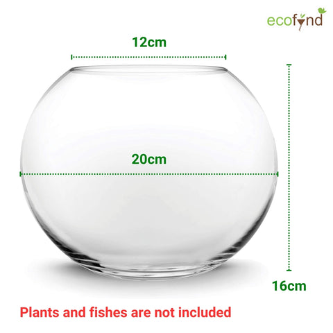 8 Inch Glass Terrarium Bowl