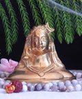 ecofynd Lord Shiva Idol