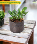 ecofynd Adam Metal Plant Pot