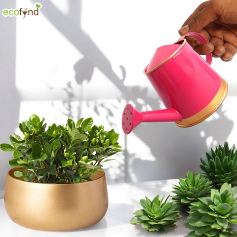 ecofynd 250 ml Pink Watering Can with Gold Border for Kids