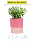 ecofynd Ceramic Plant Pot