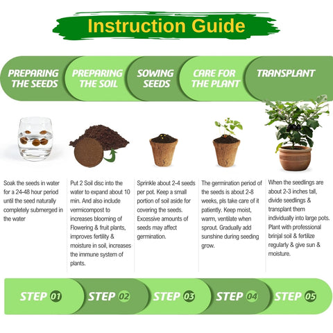 3 in 1 DIY Vegetable Grow Kit