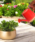 ecofynd Red Watering Can for Kids 250 ml