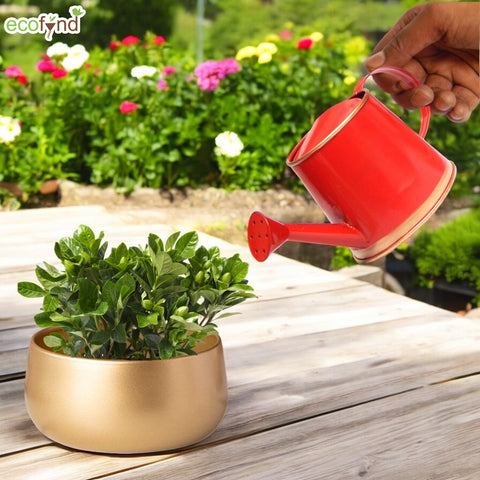 Red Watering Can for Kids 250 ml