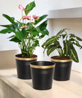 Ecofynd Black Bucket Metal Planter