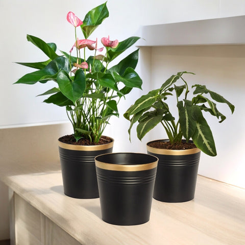 Black Bucket Metal Planter