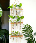 ecofynd 3-Tier Wall Hanging Test Tube Planter