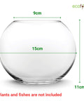 ecofynd 6 Inch Glass Terrarium Bowl