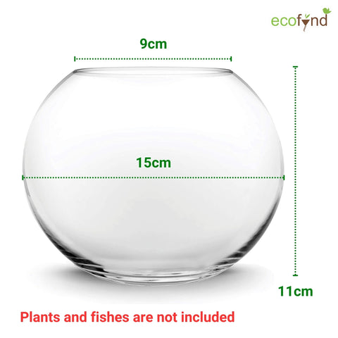 6 Inch Glass Terrarium Bowl