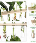 ecofynd 3-Tier Wall Hanging Test Tube Planter