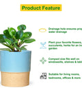 ecofynd Ceramic Plant Pot