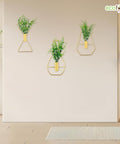 ecofynd Wall Decor Hanging Planter