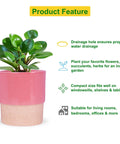 ecofynd Ceramic Plant Pot