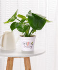 ecofynd Melamine Cone Pot