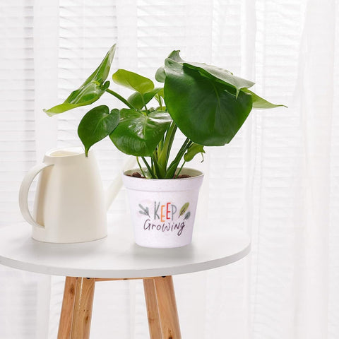 Melamine Cone Pot