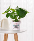 ecofynd Melamine Cone Pot