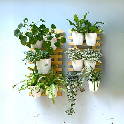 Ecofynd Wooden Hanging Planter Wall Frame