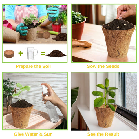 3 in 1 DIY Vegetable Grow Kit