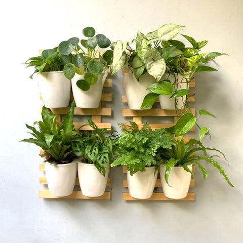 Ecofynd Wooden Hanging Planter Wall Frame