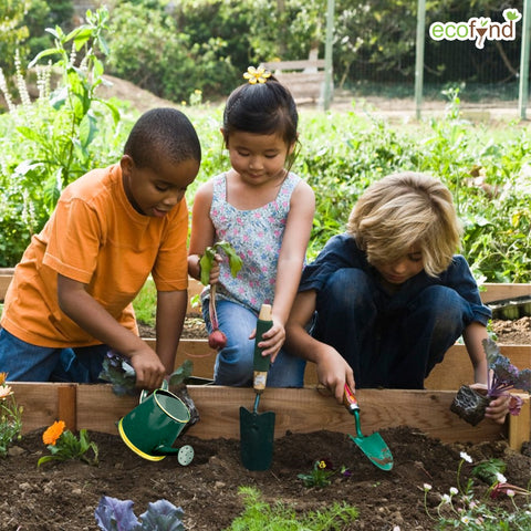 Green Watering Can for Kids 250 ml