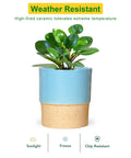 ecofynd Ceramic Plant Pot