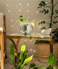 ecofynd Hanging Disco Ball Glass Planter