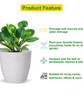 ecofynd Ceramic Plant Pot