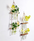 ecofynd 3-Tier Wall Hanging Test Tube Planter