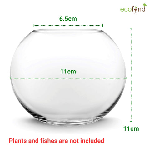 4 Inch Glass Terrarium Bowl