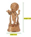 ecofynd Lord Krishna Idol