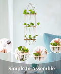 ecofynd 3-Tier Wall Hanging Test Tube Planter