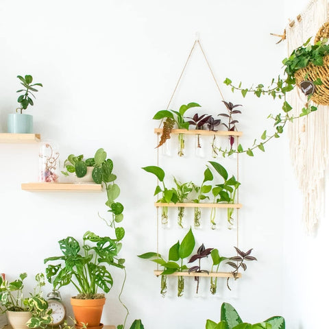 3-Tier Wall Hanging Test Tube Planter