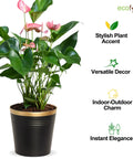 Ecofynd Black Bucket Metal Planter