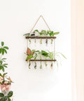 ecofynd 2-Tier Wall Hanging Test Tube Planter