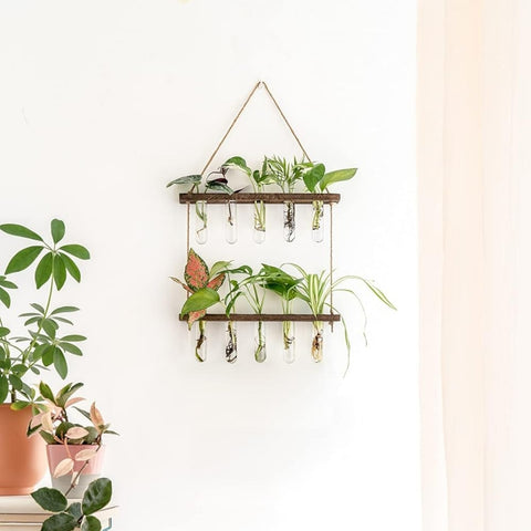 2-Tier Wall Hanging Test Tube Planter