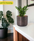 ecofynd Adam Metal Plant Pot