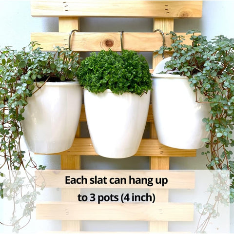 Ecofynd Wooden Hanging Planter Wall Frame