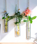 ecofynd Metal Wall Hanging Test Tube Planter